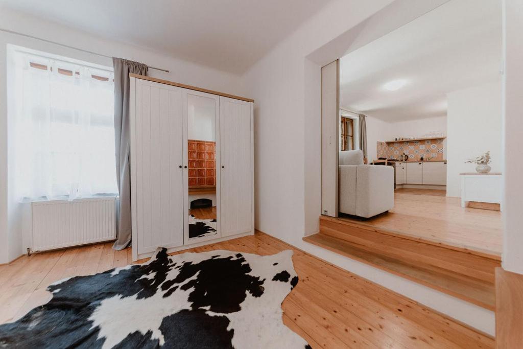 Apartmany Stare Mesto زنويمو المظهر الخارجي الصورة